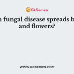 Which fungal disease spreads by seed and flowers?
