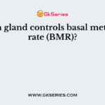 Which gland controls basal metabolic rate (BMR)?