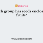 Which group has seeds enclosed in fruits?