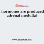 Which hormones are produced by the adrenal medulla?
