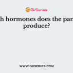Which hormones does the pancreas produce?
