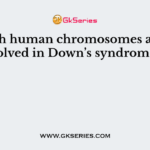 Which human chromosomes are involved in Down’s syndrome?
