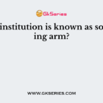 Which institution is known as soft lending arm?