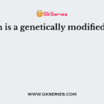 Which is a genetically modified crop?