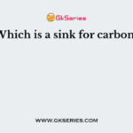 Which is a sink for carbon?