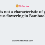 Which is not a characteristic of gregarious flowering in Bamboo?