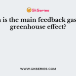 Which is the main feedback gas of the greenhouse effect?