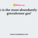 Which is the most abundantly found greenhouse gas?