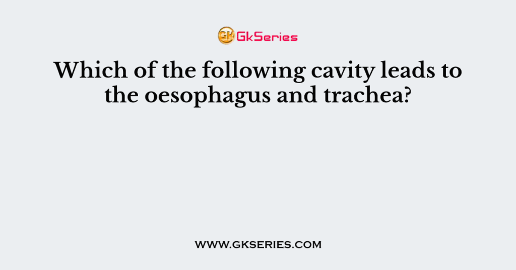 Which of the following cavity leads to the oesophagus and trachea?
