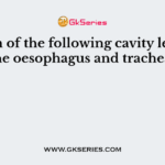 Which of the following cavity leads to the oesophagus and trachea?