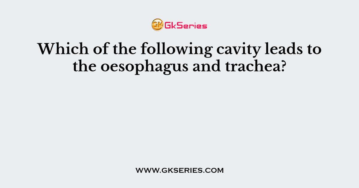 Which of the following cavity leads to the oesophagus and trachea?