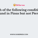 Which of the following conditions is found in Pinus but not Pteris?