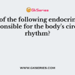 Which of the following endocrine gland is responsible for the body's circadian rhythm?