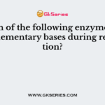 Which of the following enzyme adds complementary bases during replication?
