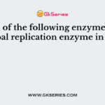 Which of the following enzymes is the principal replication enzyme in E. coli?
