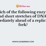 Which of the following enzymes unwind short stretches of DNA helix immediately ahead of a replication fork?