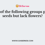 Which of the following groups produce seeds but lack flowers?