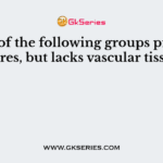 Which of the following groups produces spores, but lacks vascular tissue?