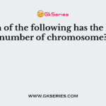 Which of the following has the largest number of chromosome?