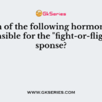 Which of the following hormones are responsible for the "fight-or-flight" response?