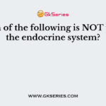 Which of the following is NOT part of the endocrine system?
