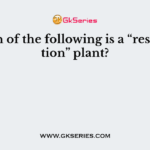 Which of the following is a “resurrection” plant?