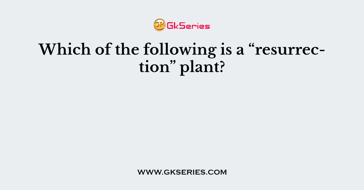 Which of the following is a “resurrection” plant?
