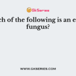 Which of the following is an edible fungus?