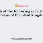 Which of the following is called amphibians of the plant kingdom?