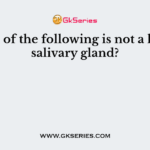 Which of the following is not a human salivary gland?