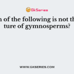 Which of the following is not the feature of gymnosperms?