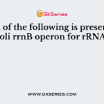 Which of the following is present in E. coli rrnB operon for rRNA?
