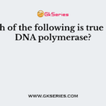 Which of the following is true about DNA polymerase?