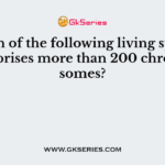 Which of the following living species comprises more than 200 chromosomes?