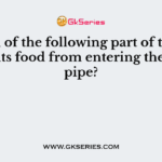 Which of the following part of trachea prevents food from entering the windpipe?