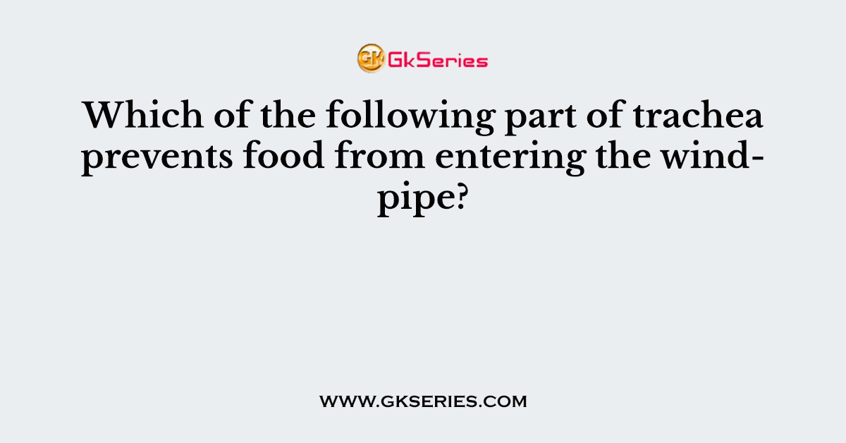 Which of the following part of trachea prevents food from entering the windpipe?