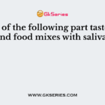 Which of the following part tastes food and food mixes with saliva?