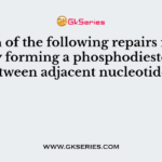 Which of the following repairs nicked DNA by forming a phosphodiester bond between adjacent nucleotides?