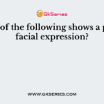 Which of the following shows a positive facial expression?