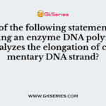 Which of the following statement is true regarding an enzyme DNA polymerase that catalyzes the elongation of complementary DNA strand?