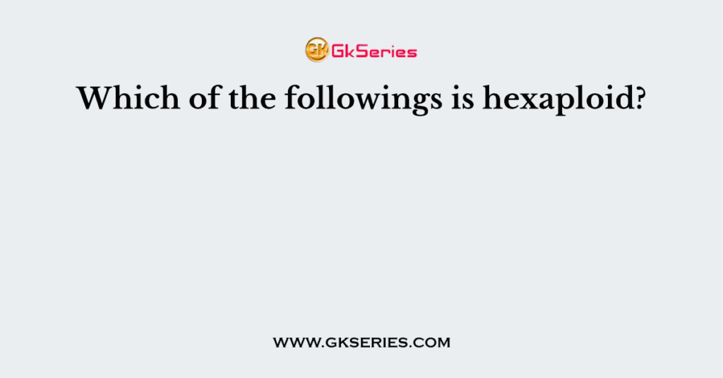 Which of the followings is hexaploid?