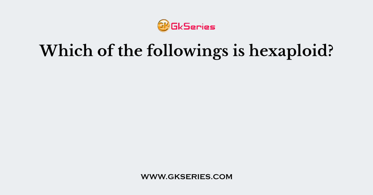 Which of the followings is hexaploid?