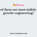 Which of these are most widely used in genetic engineering?