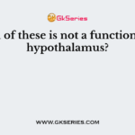 Which of these is not a function of the hypothalamus?
