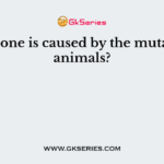 Which one is caused by the mutation in animals?