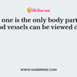 Which one is the only body part where the blood vessels can be viewed directly?