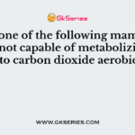 Which one of the following mammalian cells is not capable of metabolizing glucose to carbon dioxide aerobically?
