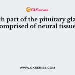 Which part of the pituitary gland is comprised of neural tissue?