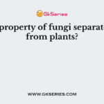 Which property of fungi separates them from plants?