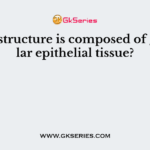 Which structure is composed of glandular epithelial tissue?